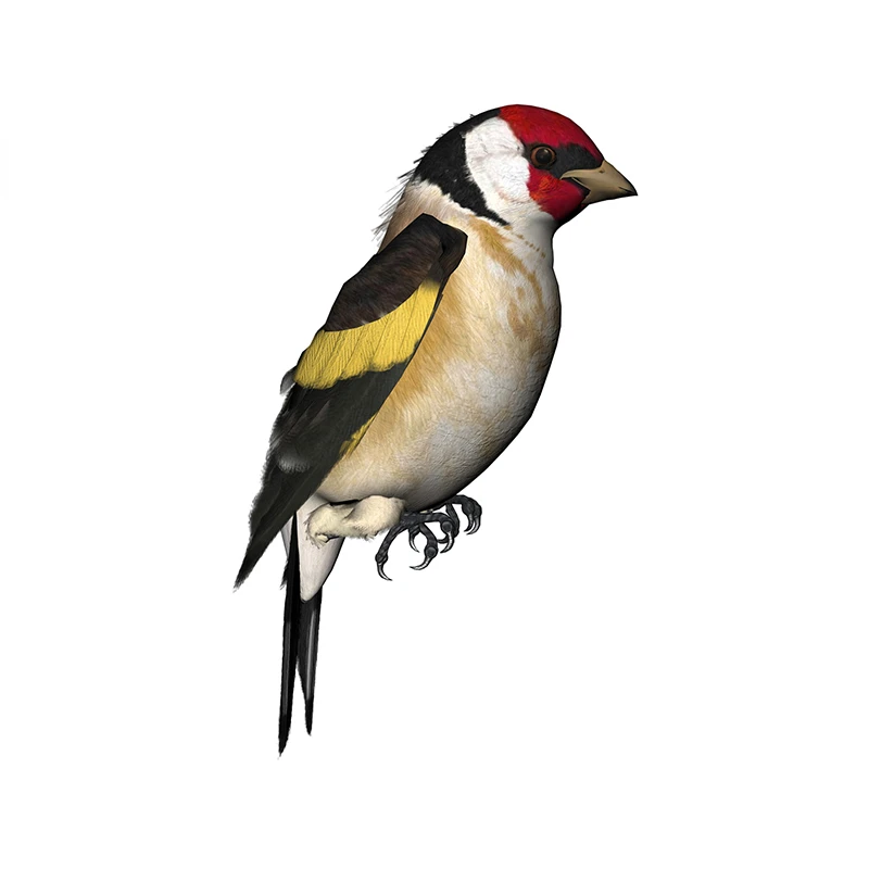 Tinsel Garland Decoration - New Design for Tinsel Finches Car